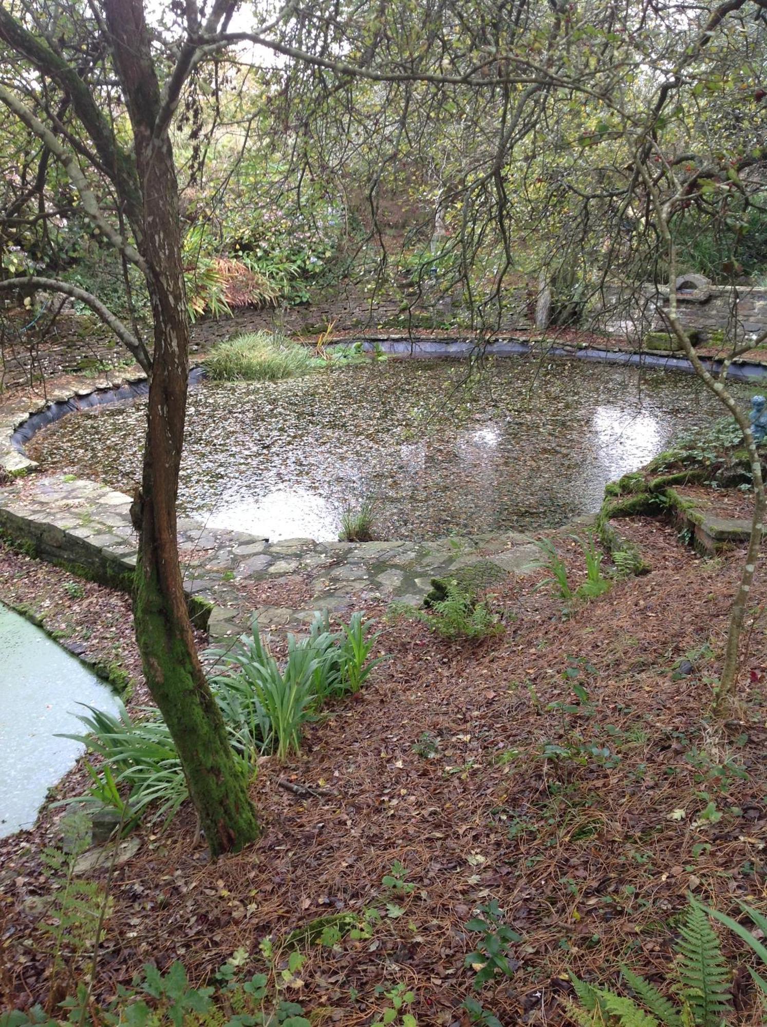 Trevenna Cabin St Austell Dış mekan fotoğraf